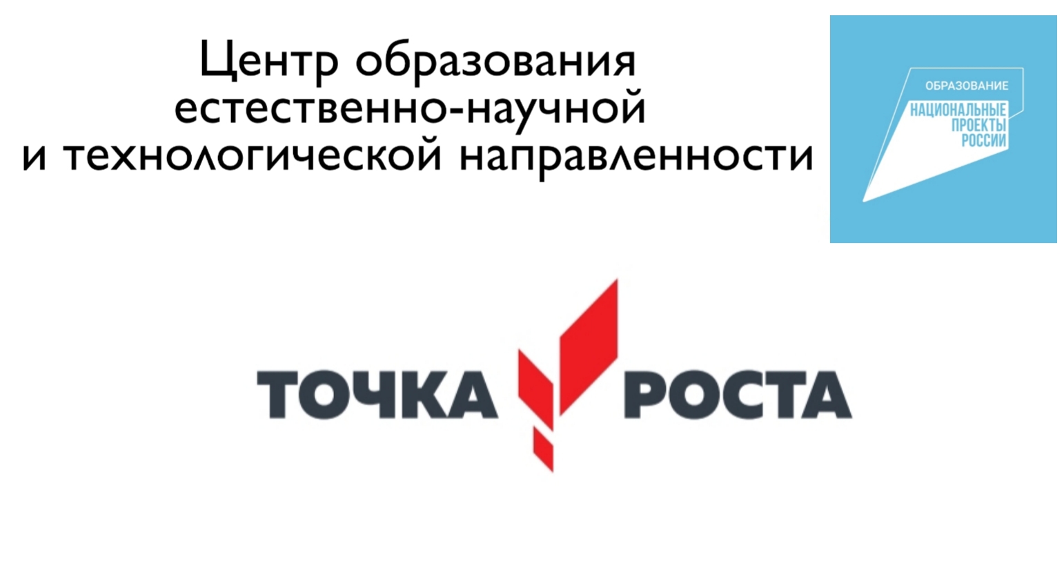 Логотип Точка Роста.