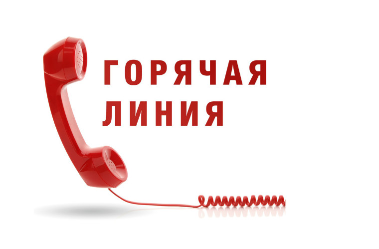 Горячая линия.